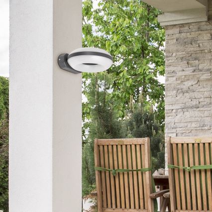 Rabalux - LED spoljašnje zidno svetlo GRAZ 1xLED/12W IP54