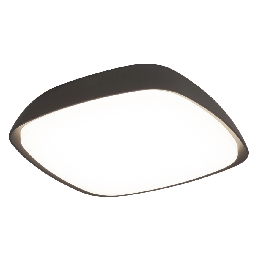Rabalux - LED spoljašnje plafonsko svetlo LED/20W/230V IP65