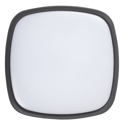 Rabalux - LED spoljašnje plafonsko svetlo LED/20W/230V IP65