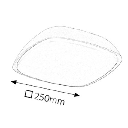 Rabalux - LED spoljašnje plafonsko svetlo LED/20W/230V IP65