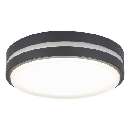 Rabalux - LED spoljašnje zidno svetlo HAMBURG LED/10W/230V IP44