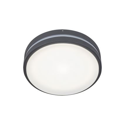 Rabalux - LED spoljašnje zidno svetlo HAMBURG LED/10W/230V IP44