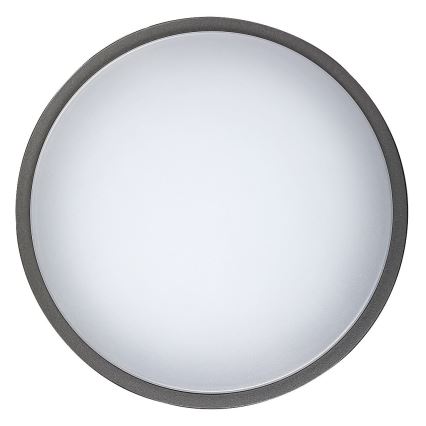 Rabalux - LED spoljašnje plafonsko svetlo HAMBURG LED/12W/230V IP44
