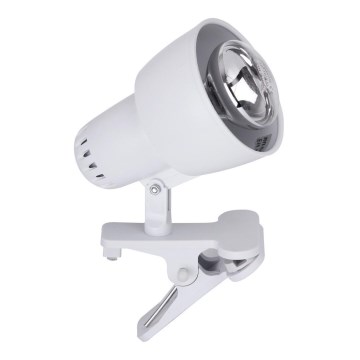 Rabalux - Lampa sa stezaljkom 1xE14/40W/230V bela