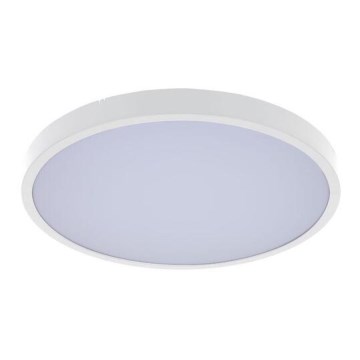 Rabalux - LED kupatilsko plafonsko svetlo LED/12W/230V 3000/4000/6000K IP44 prečnik 25,5 cm belo