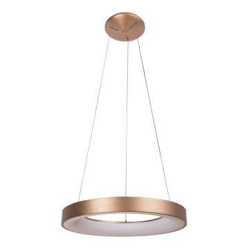 Rabalux - LED luster na sajli CARMELLA LED/50W/230V Ø 60 cm
