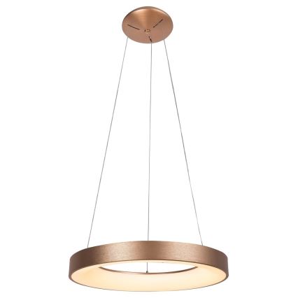Rabalux - LED luster na sajli CARMELLA LED/50W/230V Ø 60 cm