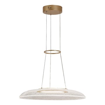 Rabalux - LED luster na sajli LED/24W/230V 3000K