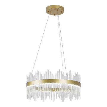 Rabalux - LED luster na sajli LED/36W/230V 3000/4000/6000K zlatna