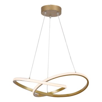 Rabalux - LED luster na sajli LED/36W/230V 3000K zlatna