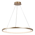 Rabalux - LED luster na sajli LED/55W/230V 3000K