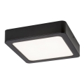 Rabalux - LED plafonska svetiljka LED/24W/230V 22x22 cm