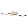 Rabalux - LED plafonski luster 2xLED/12W/230V