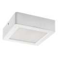 Rabalux - LED plafonsko svetlo 12W/230V, 14,5 x 14,5 cm