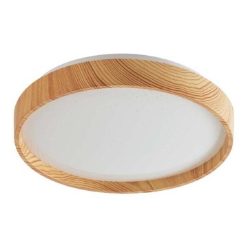 Rabalux - LED plafonsko svetlo 12W/230V, 3000K, prečnik 26 cm