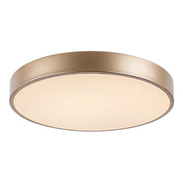 Rabalux - LED plafonsko svetlo, 36 W, 230 V, 3000 K, prečnik 40 cm