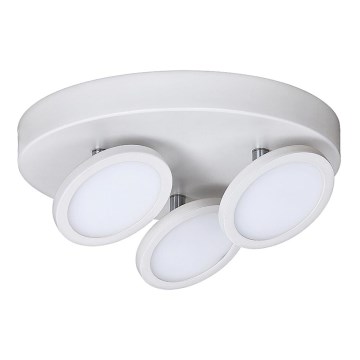 Rabalux - LED plafonsko svetlo 3xLED/6W/230V belo