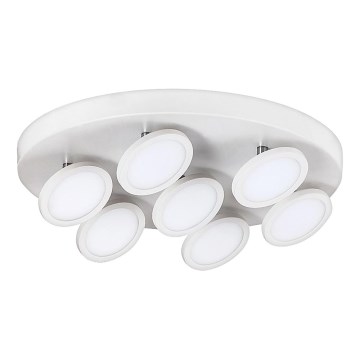 Rabalux - LED plafonsko svetlo 7xLED/6W/230V, belo