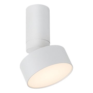Rabalux - LED plafonsko svetlo LED/10W/230V 3000K belo prečnik 11 cm