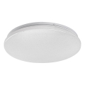 Rabalux - LED plafonsko svetlo LED/12W/230V 4000K prečnik 25,5 cm
