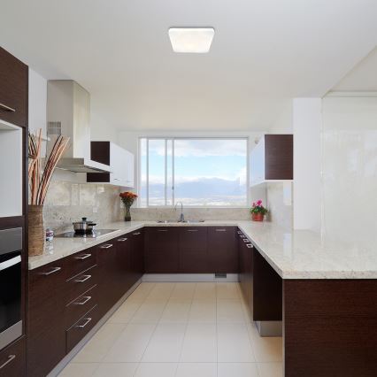 Rabalux - LED plafonsko svetlo LED/12W/230V