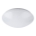 Rabalux - LED plafonsko svetlo LED/12W/230V Ø 26 cm