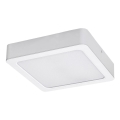 Rabalux - LED plafonsko svetlo LED/15W/230V 3000K 16x16 cm bela