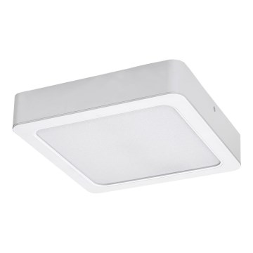 Rabalux - LED plafonsko svetlo LED/15W/230V 3000K 16x16 cm bela
