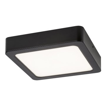 Rabalux - LED plafonsko svetlo LED/15W/230V 3000K 16x16 cm crna