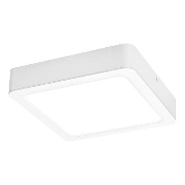 Rabalux - LED plafonsko svetlo LED/15W/230V 4000K 16x16 cm bela