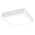 Rabalux - LED plafonsko svetlo LED/18W/230V 17x17 cm