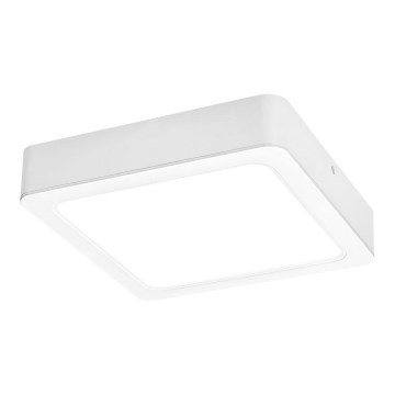 Rabalux - LED plafonsko svetlo LED/18W/230V 17x17 cm