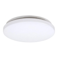 Rabalux - LED plafonsko svetlo LED/20W/230V prečnik 29 cm