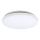 Rabalux - LED plafonsko svetlo LED/20W/230V prečnik 29 cm