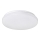 Rabalux - LED plafonsko svetlo LED/20W/230V, prečnika 29 cm