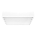 Rabalux - LED plafonsko svetlo LED/22W/230V 3000/4000/6000K 21x21 cm belo