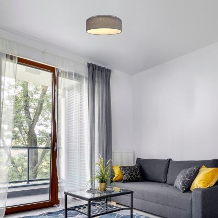 Rabalux - LED stropna svetiljka LED/22W/230V siva, prečnik 40 cm