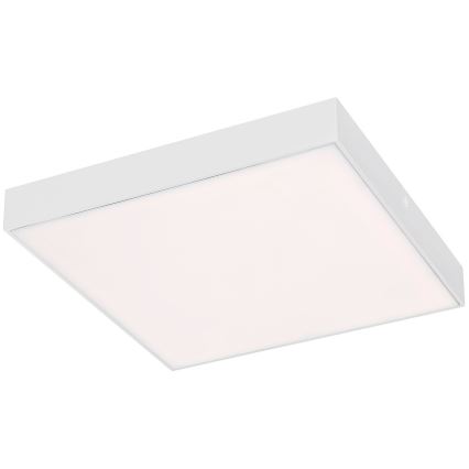 Rabalux - LED plafonsko svetlo LED/24W/230V 2800-6000K IP44 belo 30x30 cm