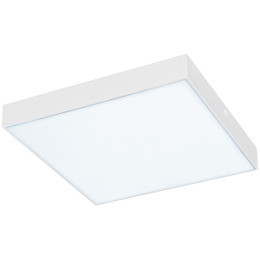 Rabalux - LED plafonsko svetlo LED/24W/230V 2800-6000K IP44 belo 30x30 cm