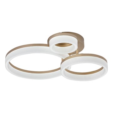 Rabalux - LED plafonsko svetlo LED/24W/230V 3000/4000/6500K zlatna 38x51 cm