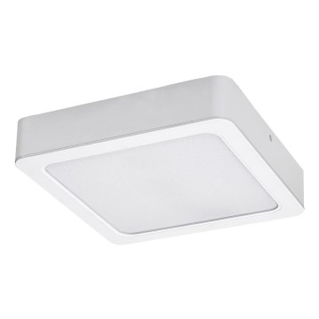 Rabalux - LED plafonsko svetlo LED/24W/230V 3000K 22x22 cm belo
