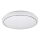 Rabalux - LED plafonsko svetlo LED/24W/230V 3000K prečnik 38 cm