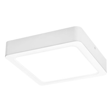 Rabalux - LED plafonsko svetlo LED/24W/230V 4000K 22x22 cm belo