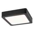 Rabalux - LED plafonsko svetlo LED/24W/230V 4000K 22x22 cm crna