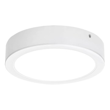 Rabalux - LED plafonsko svetlo LED/24W/230V 4000K prečnik 22 cm belo