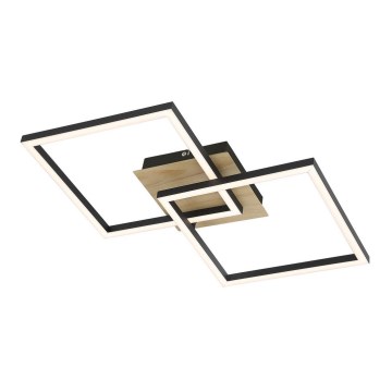 Rabalux - LED plafonsko svetlo LED/24W/230V 40x40 cm