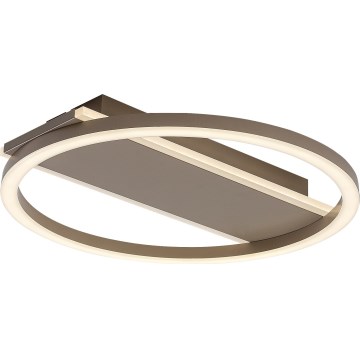 Rabalux - LED plafonsko svetlo LED/24W/230V prečnik 33 cm