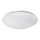 Rabalux - LED plafonsko svetlo LED/24W/230V, prečnik 38 cm