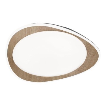 Rabalux - LED plafonsko svetlo LED/24W/230V prečnik 45 cm