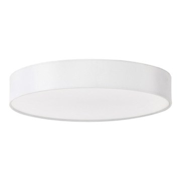 Rabalux - LED plafonsko svetlo LED/24W/230V prečnika 40 cm